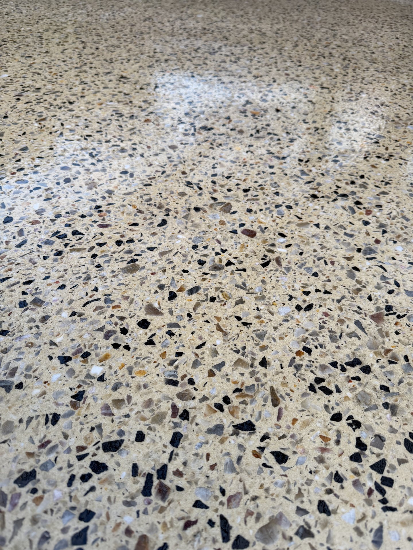Exposed aggregate concrete finish by Pinnacle Project Group